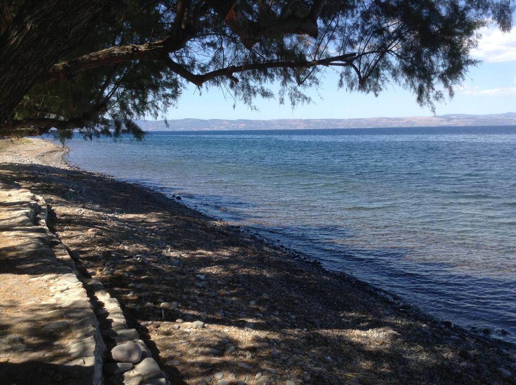 Rooms To Let To Kyma Skala Sikamineas Skala Sykamineas Rum bild