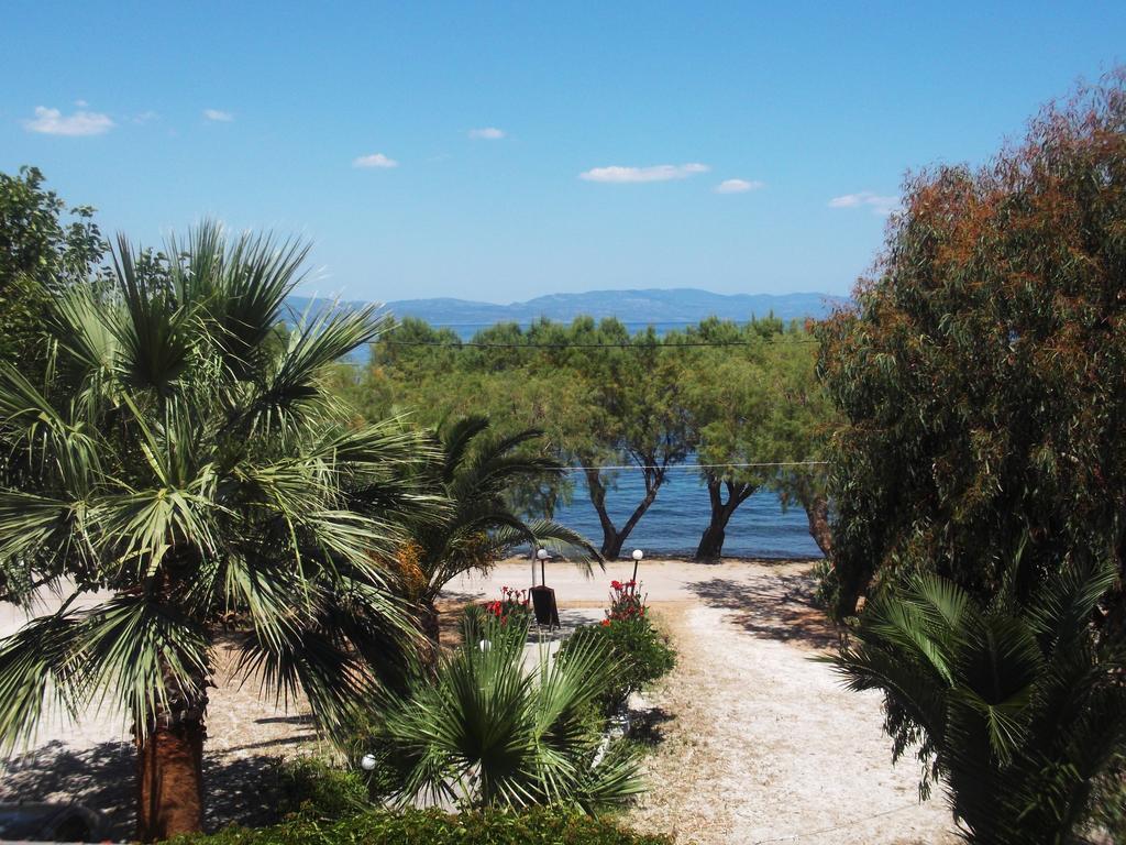 Rooms To Let To Kyma Skala Sikamineas Skala Sykamineas Rum bild